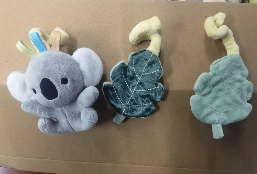 backpack strap,Koala,leaves
